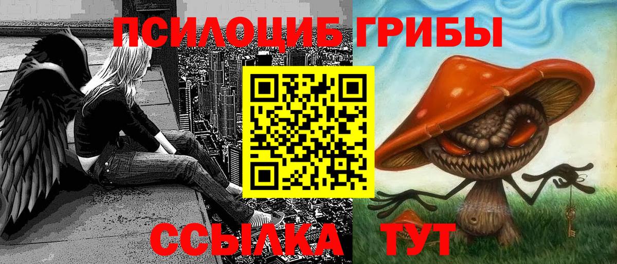 Псилоцибиновые грибы мицелий Благодарный
