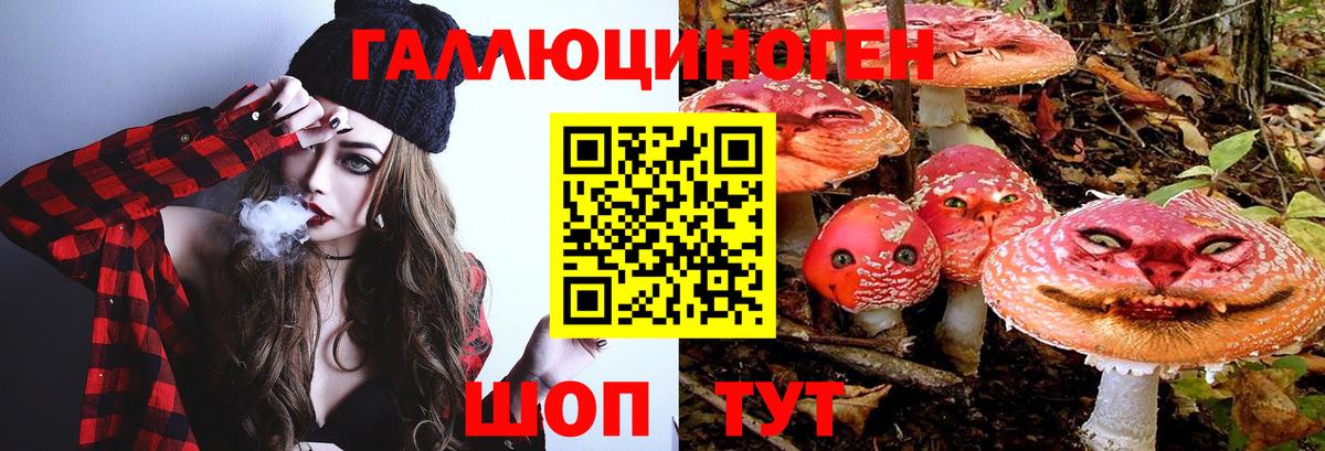 Галлюциногенные грибы GOLDEN TEACHER  Псилоцибиновые грибы Psilocybe  Благодарный  Вход с VPN 